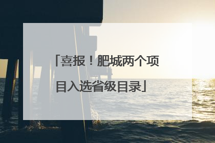 喜报！肥城两个项目入选省级目录
