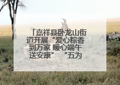 嘉祥县卧龙山街道开展“爱心粽香到万家 暖心端午送安康” “五为”志愿服务活动