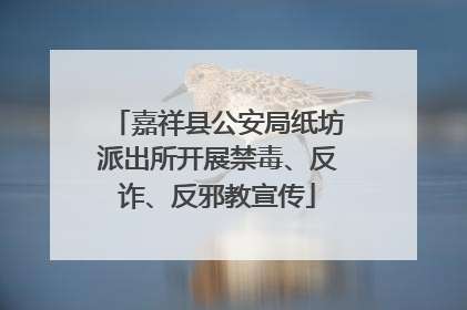 嘉祥县公安局纸坊派出所开展禁毒、反诈、反邪教宣传