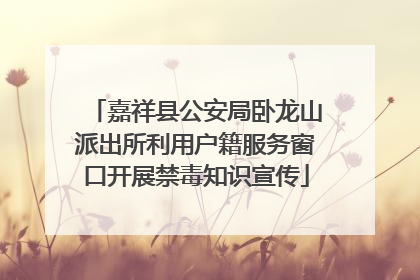 嘉祥县公安局卧龙山派出所利用户籍服务窗口开展禁毒知识宣传