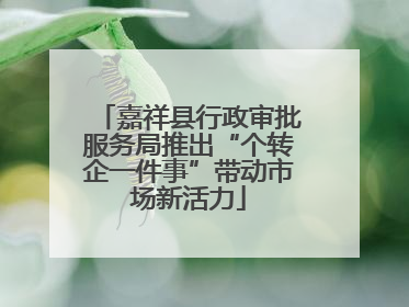 嘉祥县行政审批服务局推出“个转企一件事”带动市场新活力