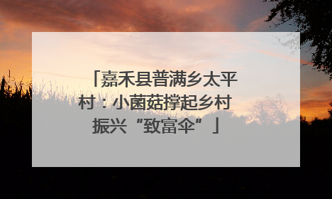 嘉禾县普满乡太平村：小菌菇撑起乡村振兴“致富伞”
