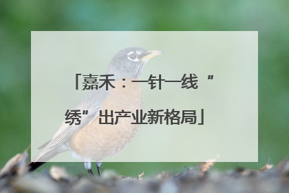 嘉禾：一针一线“绣”出产业新格局