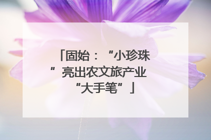 固始：“小珍珠”亮出农文旅产业“大手笔”