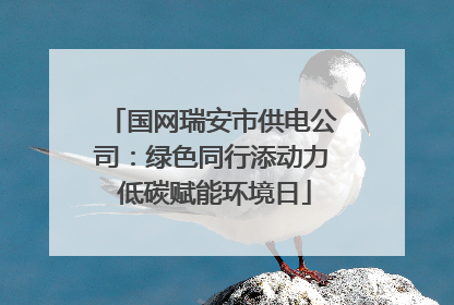 国网瑞安市供电公司：绿色同行添动力 低碳赋能环境日