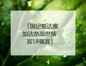 国足抵达雅加达备战世预赛18强赛