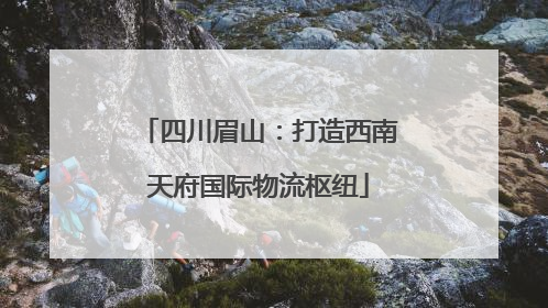 四川眉山：打造西南天府国际物流枢纽
