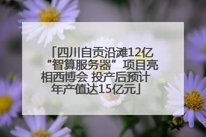 四川自贡沿滩12亿“智算服务器”项目亮相西博会 投产后预计年产值达15亿元