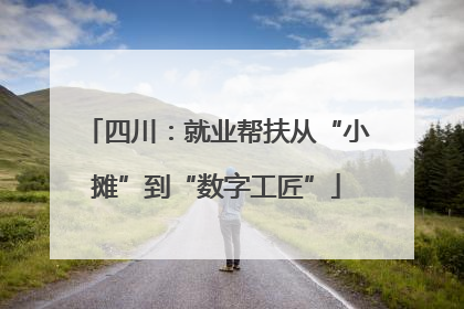 四川：就业帮扶从“小摊”到“数字工匠”
