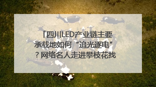 四川LED产业链主要承载地如何“追光逐电”？网络名人走进攀枝花找答案｜网络名人四川行