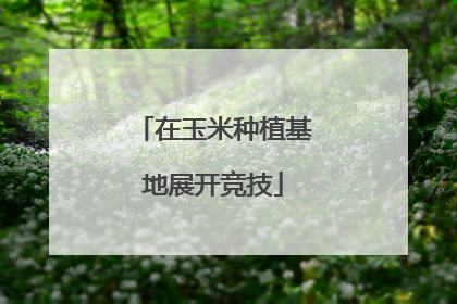 在玉米种植基地展开竞技