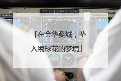在金华婺城，坠入绣球花的梦境