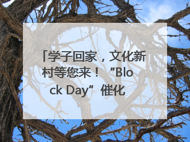 学子回家，文化新村等您来！“Block Day”催化学院式街区新生态