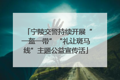 宁陵交警持续开展“一盔一带”“礼让斑马线”主题公益宣传活