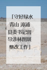 守好绿水青山 漳浦县委书记督导涉林图斑整改工作