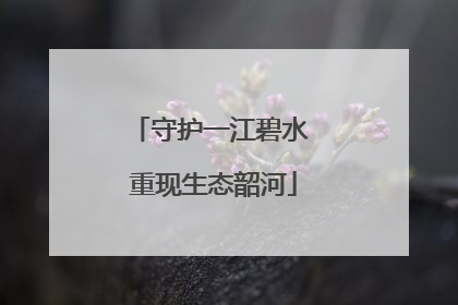 守护一江碧水 重现生态韶河