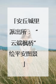 安丘城里派出所：“云端枫桥”绘平安图景