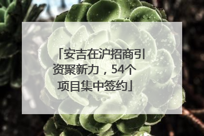 安吉在沪招商引资聚新力，54个项目集中签约