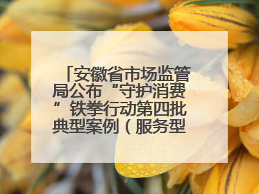 安徽省市场监管局公布“守护消费”铁拳行动第四批典型案例（服务型执法专刊）