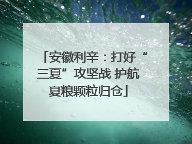 安徽利辛：打好“三夏”攻坚战 护航夏粮颗粒归仓