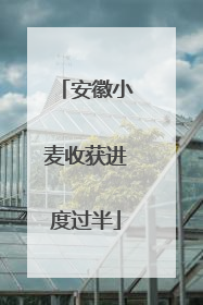 安徽小麦收获进度过半