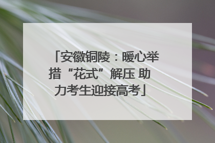 安徽铜陵：暖心举措“花式”解压 助力考生迎接高考
