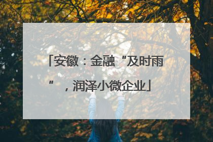 安徽：金融“及时雨”，润泽小微企业