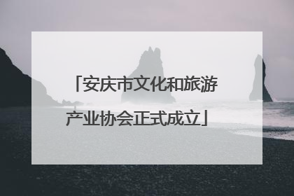 安庆市文化和旅游产业协会正式成立