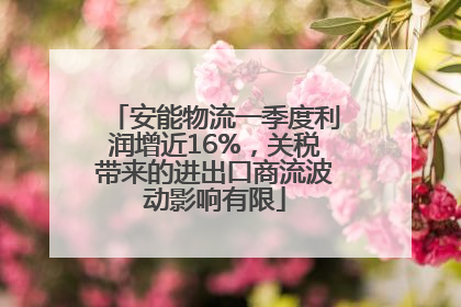 安能物流一季度利润增近16%，关税带来的进出口商流波动影响有限