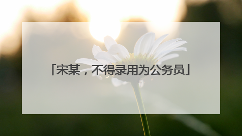 宋某，不得录用为公务员