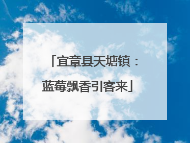 宜章县天塘镇：蓝莓飘香引客来