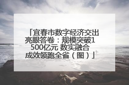 宜春市数字经济交出亮眼答卷：规模突破1500亿元 数实融合成效领跑全省（图）