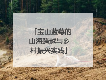 宝山蓝莓的山海跨越与乡村振兴实践