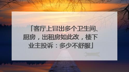 客厅上冒出多个卫生间、厨房，出租房如此改，楼下业主投诉：多少不舒服
