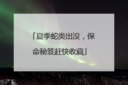 夏季蛇类出没，保命秘笈赶快收藏
