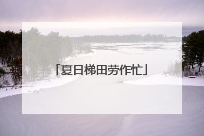 夏日梯田劳作忙