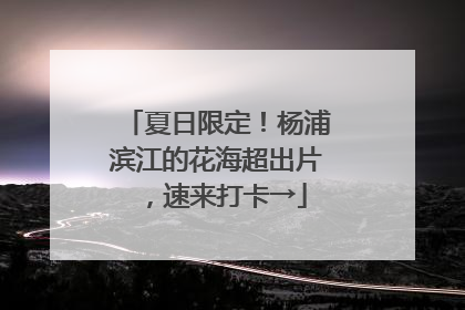 夏日限定！杨浦滨江的花海超出片，速来打卡→
