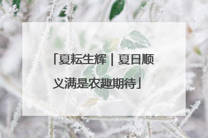 夏耘生辉｜夏日顺义满是农趣期待