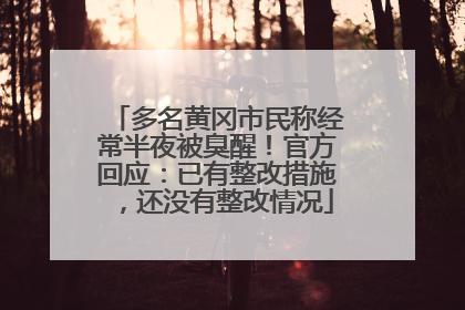 多名黄冈市民称经常半夜被臭醒！官方回应：已有整改措施，还没有整改情况