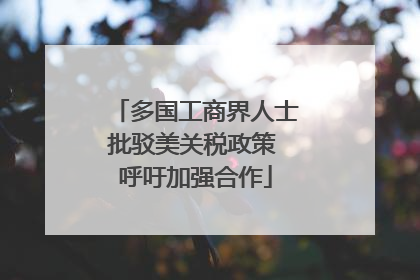多国工商界人士批驳美关税政策 呼吁加强合作