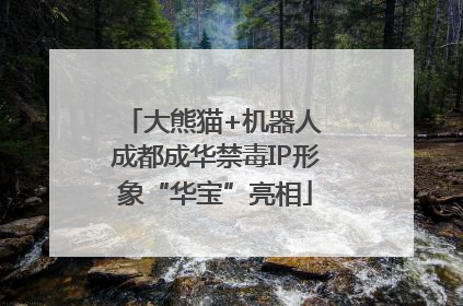 大熊猫+机器人 成都成华禁毒IP形象“华宝”亮相