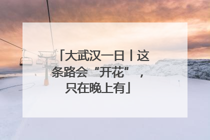 大武汉一日丨这条路会“开花”，只在晚上有