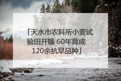 天水市农科所小麦试验田开镰 60年育成120余抗旱品种
