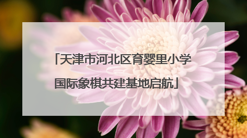 天津市河北区育婴里小学国际象棋共建基地启航