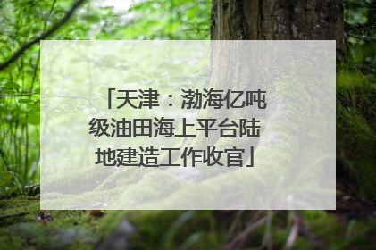 天津：渤海亿吨级油田海上平台陆地建造工作收官