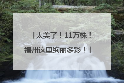 太美了！11万株！福州这里绚丽多彩！
