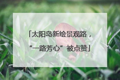 太阳岛新绘景观路，“一路芳心”被点赞