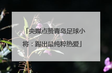 央媒点赞青岛足球小将：踢出最纯粹热爱