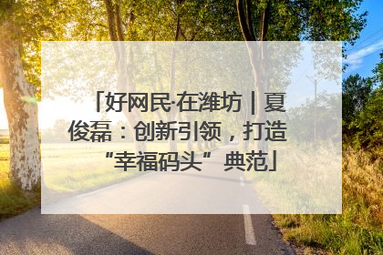 好网民·在潍坊｜夏俊磊：创新引领，打造“幸福码头”典范