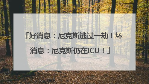好消息：尼克斯逃过一劫！坏消息：尼克斯仍在ICU！